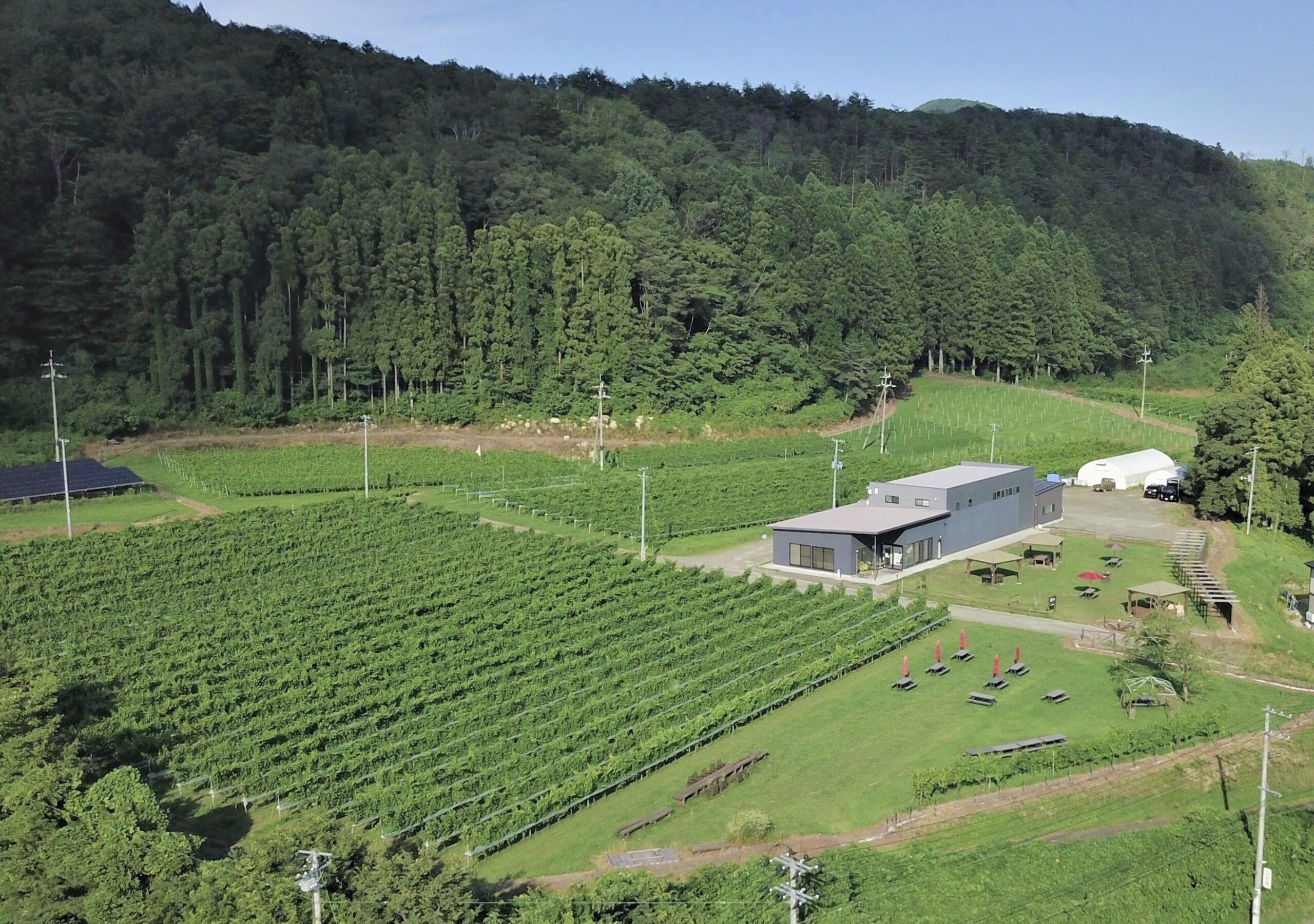 秋保ワイナリーの建物とブドウ畑を上空から望む遠景
